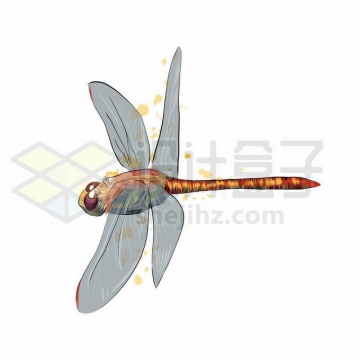 一只红色的蜻蜓昆虫写实风格水彩插画9021355矢量图片免抠素材免费下载