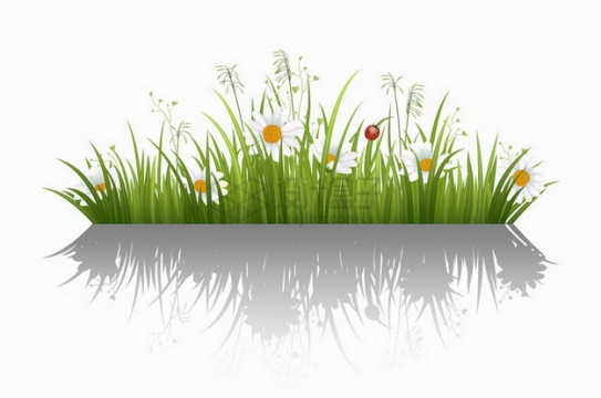 翠绿色草丛中的雏菊花和狗尾巴草装饰png图片免抠矢量素材