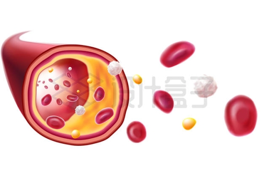血管解剖图中的红细胞白细胞和脂肪颗粒1947993矢量图片免抠素材