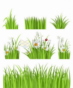 7款翠绿色草丛中盛开的雏菊花和瓢虫装饰png图片免抠矢量素材