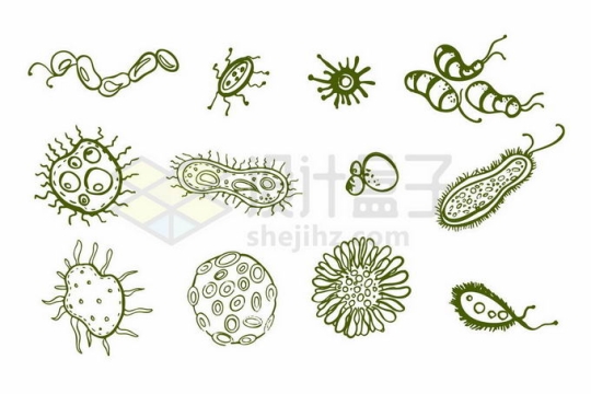 草履虫水螅衣藻等各种单细胞生物手绘线条插画6570410矢量图片免抠素材免费下载