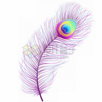紫色的孔雀羽毛343782png免抠图片素材
