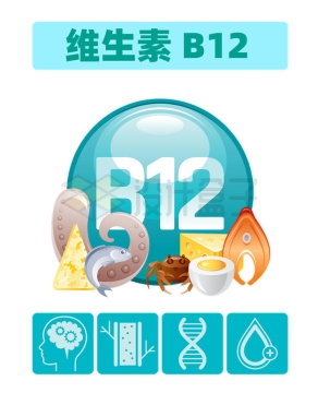 富含维生素B12的食物及其对身体健康的作用配图3981708矢量图片免抠素材