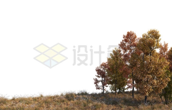 秋天枯黄草地上的树林森林风景4972810PSD免抠图片素材