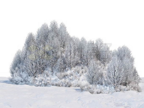 冬天厚厚积雪覆盖的树林森林风景7823039免抠图片素材免费下载