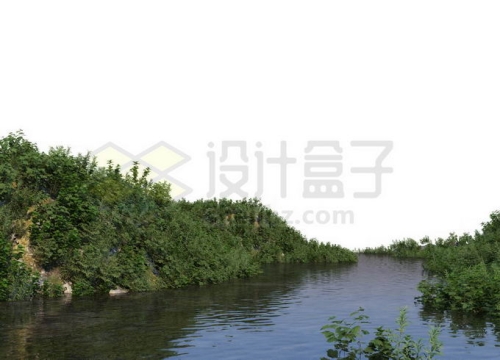 平静小河河水两岸的茂密植被灌木丛2131330PSD免抠图片素材