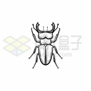 黄金鬼锹甲虫手绘线条插画3284158矢量图片免抠素材免费下载