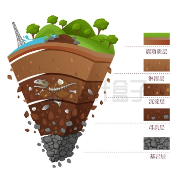 腐殖质层淋溶层母质层基岩层等土壤内部结构示意图3274910矢量图片免抠素材