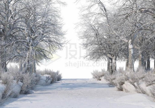 冬天厚厚积雪覆盖的树林森林大树和林间小路道路风景1643625免抠图片素材免费下载
