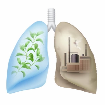 新鲜空气和污染空气对人体肺部的健康影响5744090矢量图片免抠素材