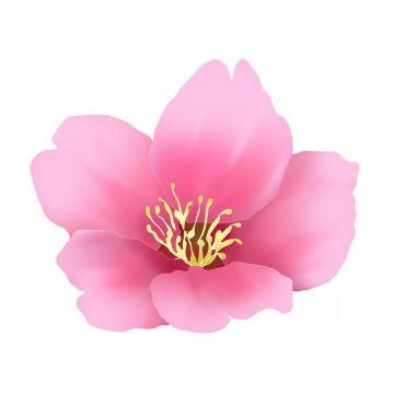 黄色花蕊的粉红色桃花png图片免抠素材