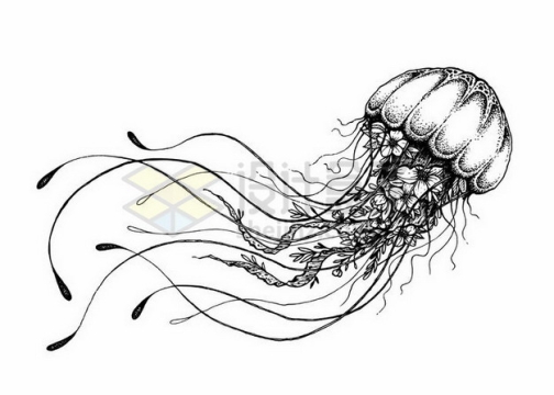 水母手绘插画625061png矢量图片素材