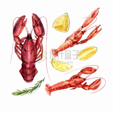 澳洲大龙虾小龙虾柠檬等美味海鲜美食水彩插画png图片素材