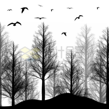 茂密的森林和飞鸟剪影1181296免抠图片素材