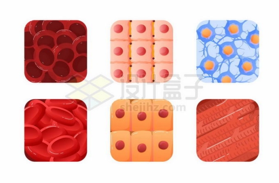 红细胞等人体细胞组成的方块3572083矢量图片免抠素材
