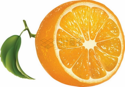 切开的橙子永兴冰糖橙png图片素材
