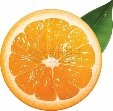 橙子横切面麻阳冰糖橙png图片素材