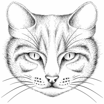 黑色手绘素描风格猫咪猫头png图片免抠矢量素材