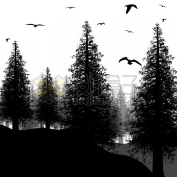 茂密的森林树林和飞鸟剪影8919332免抠图片素材