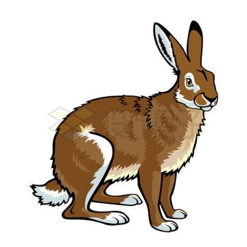 一只野兔野生动物插画配图7656217矢量图片免抠素材