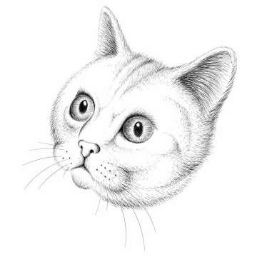 黑色手绘素描风格可爱猫咪猫头png图片免抠矢量素材