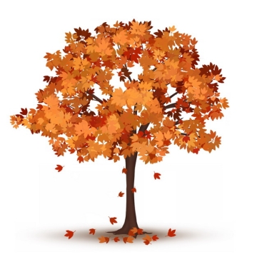 秋天橙色的树叶和大树488079png图片免抠素材