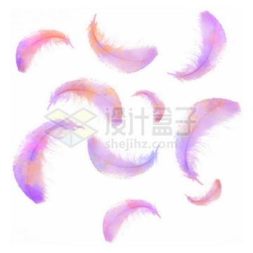 漂浮的紫色羽毛7989078矢量图片免抠素材