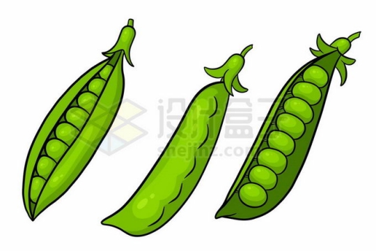 豌豆荚的青豆子插画1068463矢量图片免抠素材