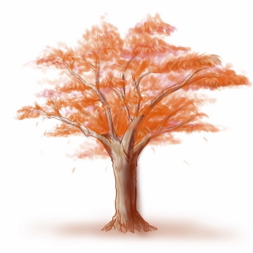 秋天树叶变红的大树水彩插画253485png图片免抠素材