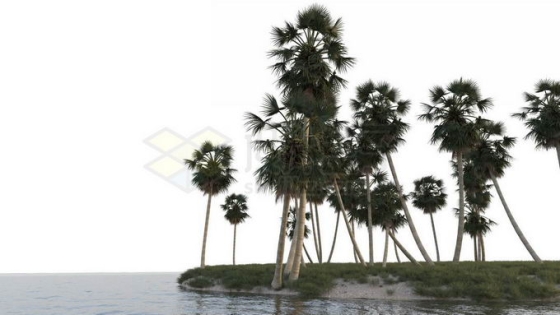 小岛沙滩上的椰树林大海上的海岛风景9268678免抠图片素材免费下载
