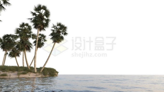 小岛沙滩上的椰树林大海上的海岛风景8772196免抠图片素材免费下载