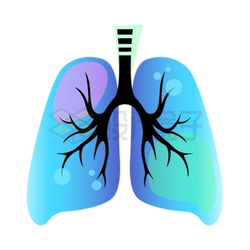 蓝紫色的肺部人体器官组织1790197矢量图片免抠素材
