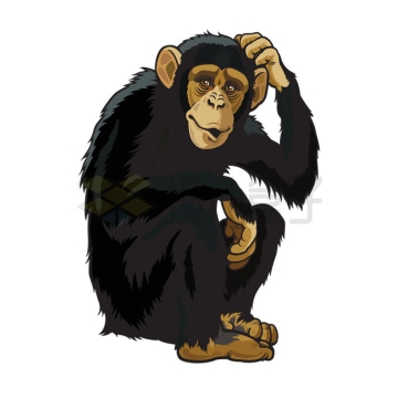 挠头的黑猩猩灵长动物野生动物插画配图1649395矢量图片免抠素材