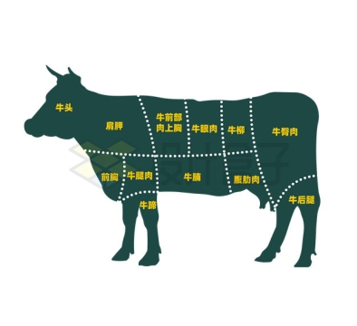 牛肉各部位分解图3352820矢量图片免抠素材