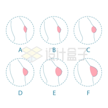 线条风格ABCDEF杯罩女性胸部乳房大小示意图1859986矢量图片免抠素材