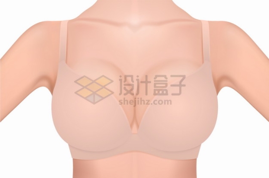 女性内衣肉色胸罩文胸佩戴示意图png图片素材