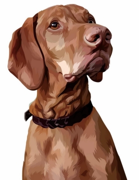 彩绘圣伯纳犬宠物狗品种png图片免抠矢量素材