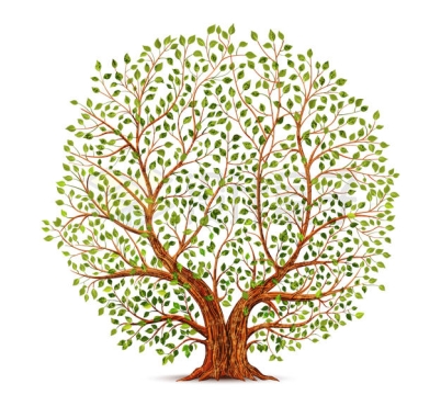 枝叶茂盛的大树插画1053092矢量图片免抠素材