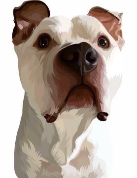 彩绘英国斗牛犬宠物狗品种png图片免抠矢量素材