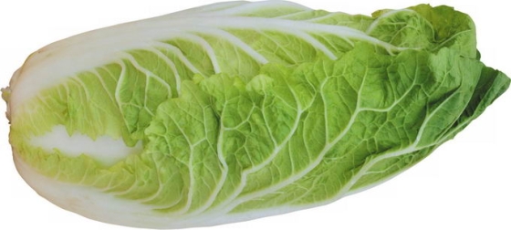 大白菜菜心菜叶花芽菜美味蔬菜8652865png免抠图片素材