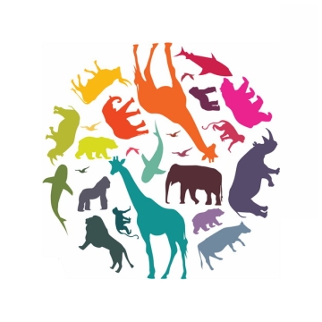各种彩色野生动物剪影组成的圆球国际生物多样性日png图片素材