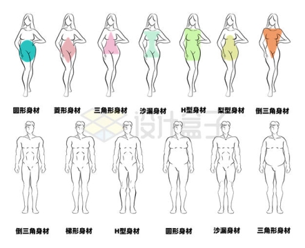 各种形状的女性和男性身材线条图案示意图4148314矢量图片免抠素材
