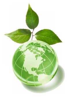 绿色地球和树叶国际生物多样性日png图片素材