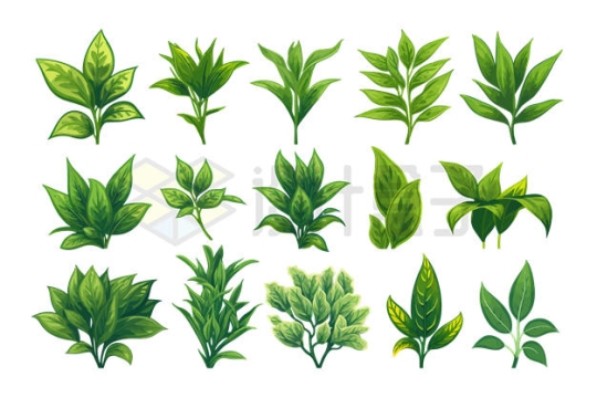 15款绿色植物绿叶插画9826250矢量图片免抠素材