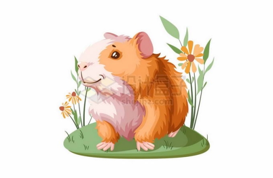 草地上的可爱卡通豚鼠天竺鼠宠物3690503矢量图片免抠素材