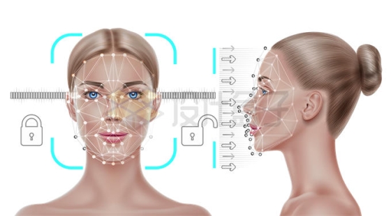 美女模特正面和侧面显示的人脸识别技术原理展示1653296矢量图片免抠素材