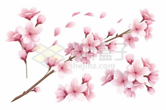 枝头上盛开的桃花和花瓣4174564矢量图片免抠素材