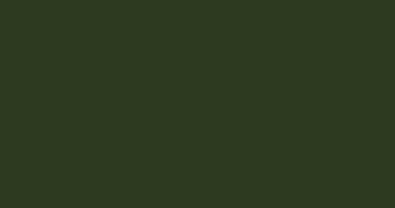蓝海松茶色RGB颜色代码#2e3a1f高清4K纯色背景图片素材