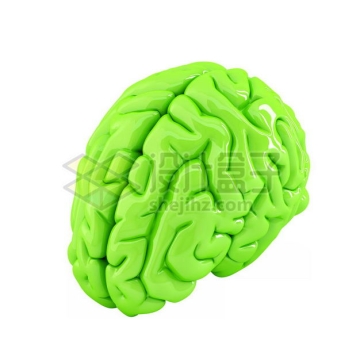 绿色3D立体人体大脑结构模型左脑右脑3473784图片免抠素材