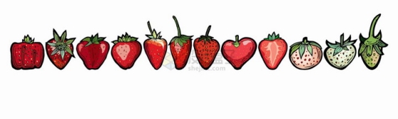 不同形状和颜色的草莓插图png图片免抠矢量素材